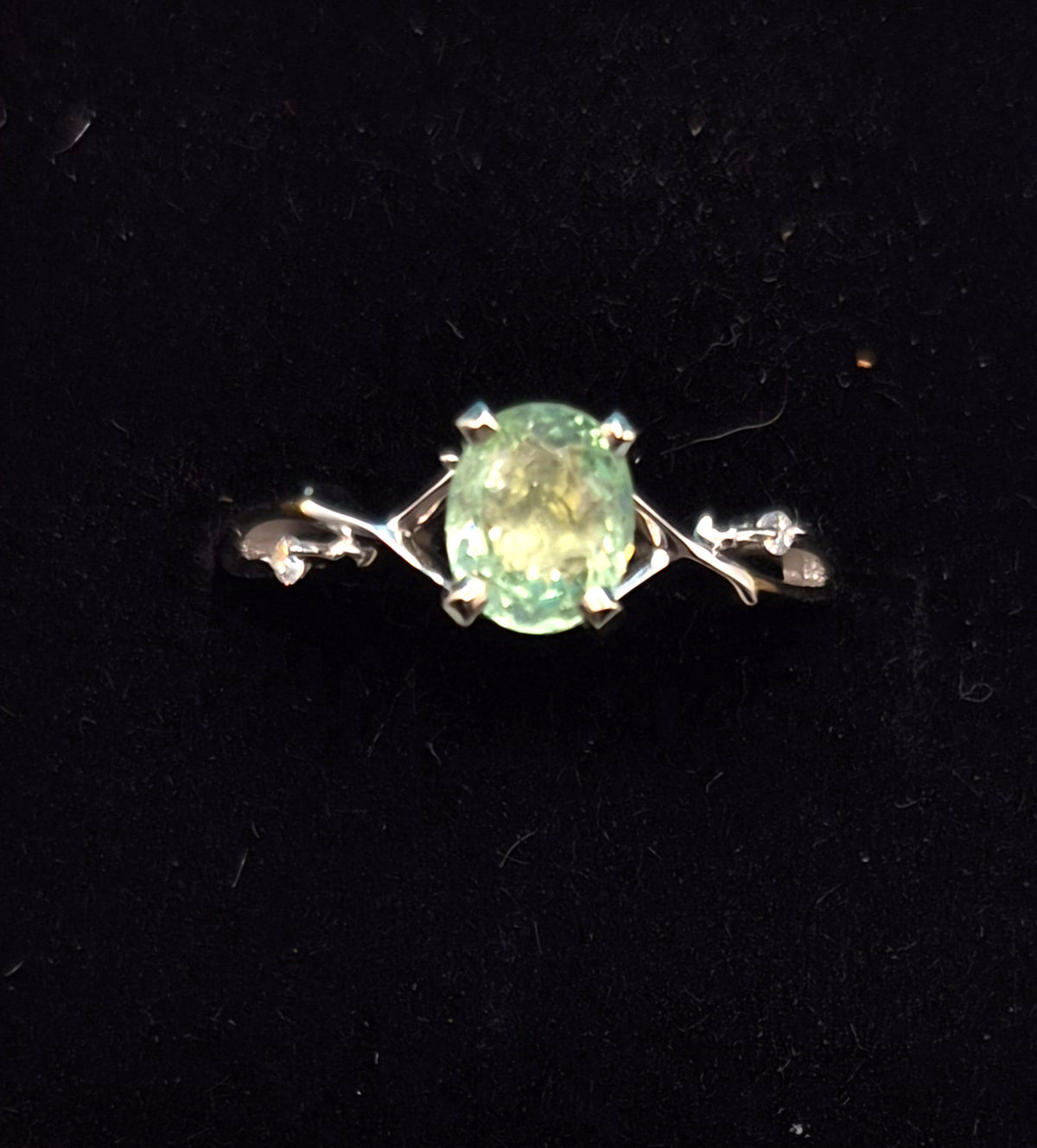 Pariaba Ring