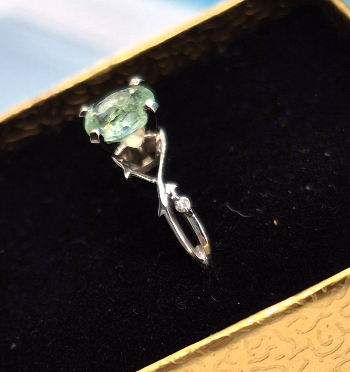 Pariaba Ring